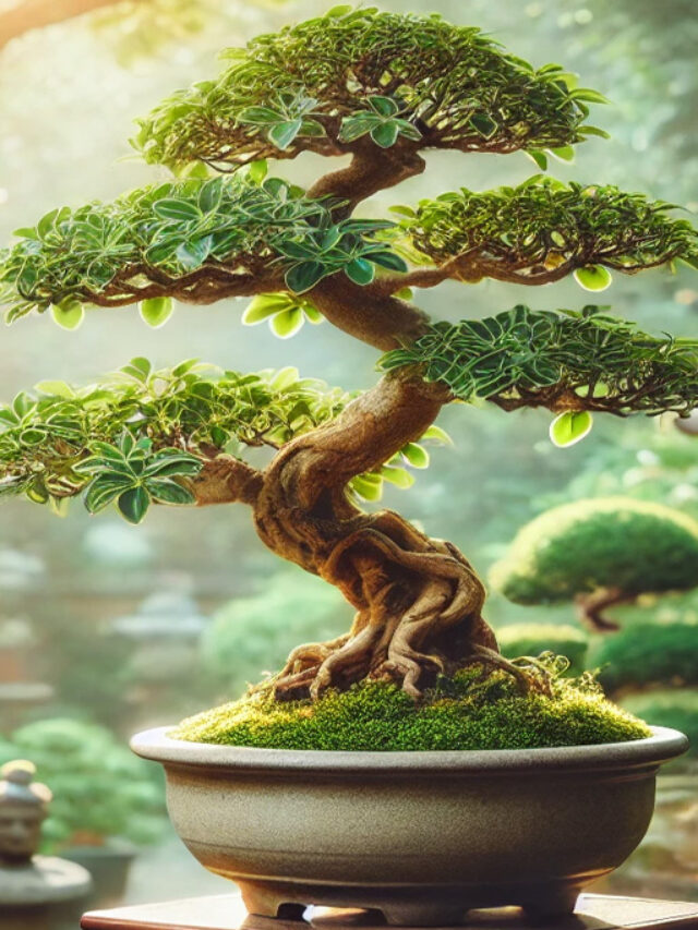 🌳 The Art of Bonsai: A Miniature Masterpiece!