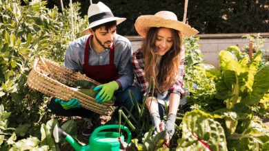 vegetable gardening