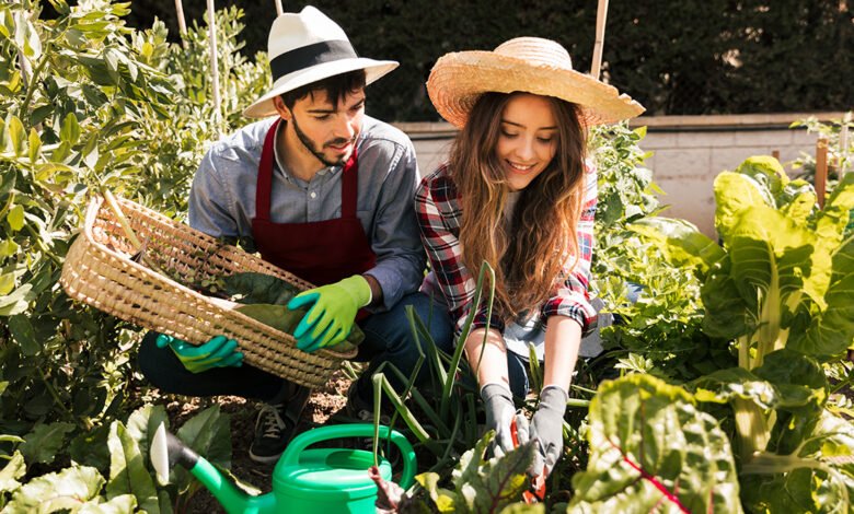 vegetable gardening