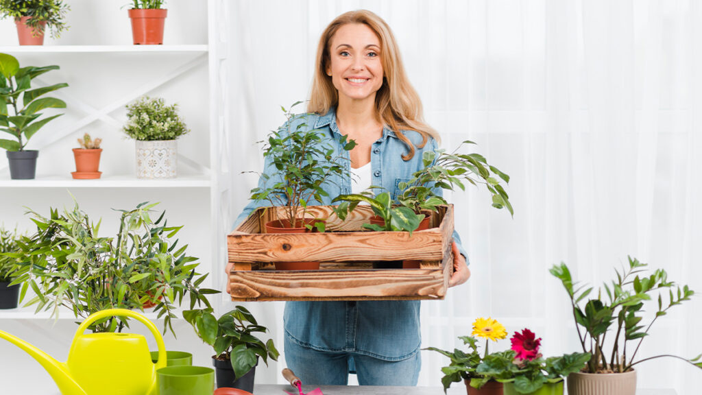 indoor garden